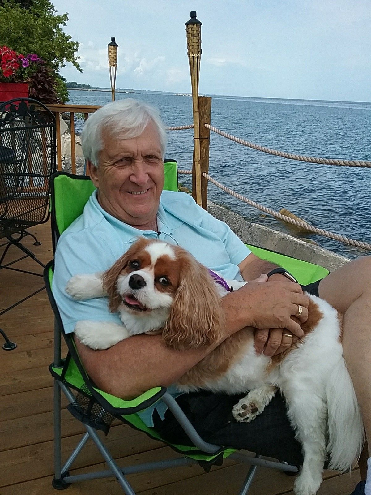 Cavalier King Charles Spaniel relaxing on his owner's lap by the lake
